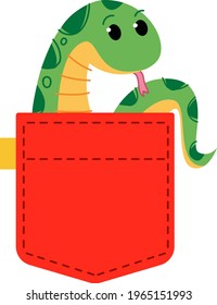 A green python snake sits in clothes. A cute African animal out of the bag. Cute red jeans pocket. Vector illustration in flat cartoon style. Isolated clipart on white background fun