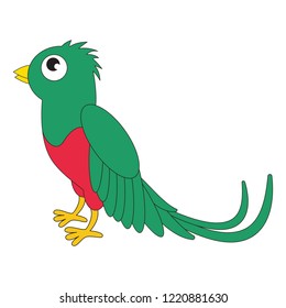 Green quetzal bird cartoon. Outlined illustration with thin line black stroke