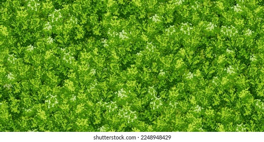 Green raindeer lichen textute on the wall seamless pattern. Vector moss background. Vertical garden concept for home or office. Eco scandinavian interior. Growing decorative plants. Greenery wallpaper