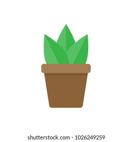 Green random plant in brown pot vector graphic illustration. Three leaves of agave or other succulent plant in pot.