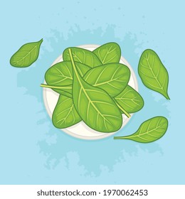  Green raw spinach leaves vector illustration 