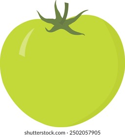 Green raw tomato, vegetarian organic food, fresh whole green tomato vegetables, healthy nutrition food. green tomatoes. Food concept.