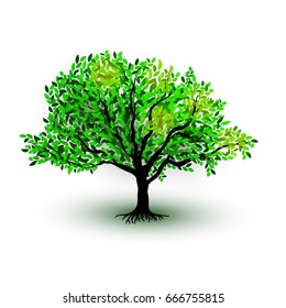 Green realictic tree with leaves isolated on white background