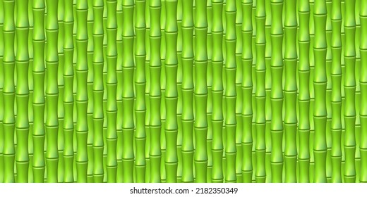 Green realistic bamboo background. Rainforest backdrop