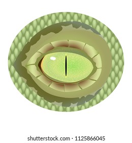 Green realistic eye of reptile with a narrow pupil. Vector eye of dragon.