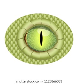 Green realistic eye of reptile. Vector eye of dragon.