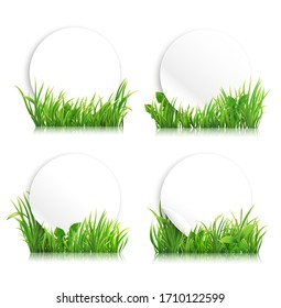 Green realistic grass banners. Spring meadow with plants, layout for farm product advertising.