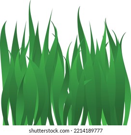 Green realistic grass ilustration vector