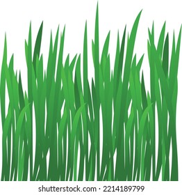 Green realistic grass ilustration vector