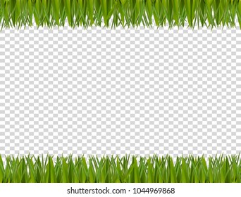 Green realistic horizontal grass border frame  isolated on transparent background with empty copy space for text. Spring or summer vector Illustration, template, clip art, banner, poster, billboard