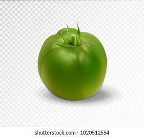 Green realistic isolated tomato. 3d tomato