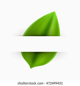 Green realistic leaf paper banner abstract background design