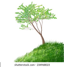 green realistic tree on the grass hill