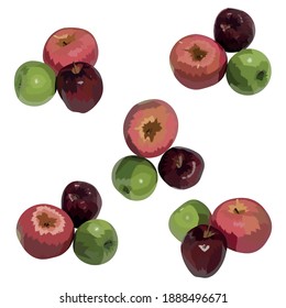 Green And Red Apple Fruit Illustration Vector Set Taken Several Angles Isolated On White Background Good To Use For Food Magazine, Brochure And Ingredients