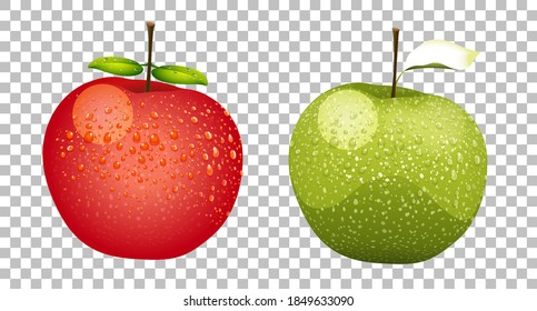 Green and red apples realistic isolated illustration