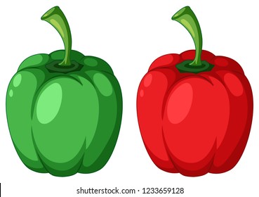 Ilustración de capsicum verde y rojo