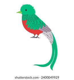 green and red color small bird resplendent quetzal species with long tail pretty cute nature animal wildlife creature