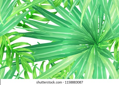 Green red exotic pattern. Monstera leaves and hibiscus flowers in summer print.  Saturated large floral swimwear print. Horizontal california natural texture design. Bonny spring botanical design.