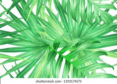 Green red exotic pattern. Monstera leaves and hibiscus flowers in summer print.  Saturated large floral swimwear print. Horizontal california natural texture design. Bonny spring botanical design.