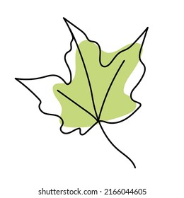 Green red maple leaves isolated on white background. Leaves in linear art with the addition of colored spots. Vector illustration.