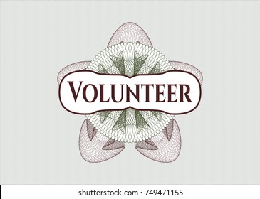 Green and Red passport rossete with text Volunteer inside