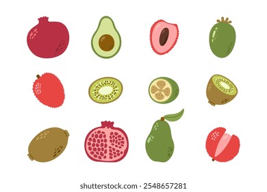 Green and red tropical fruits with leaves. Pomegranate, avocado, lychee, feijoa, kiwi. Hand drawn vector cartoon collection.