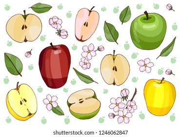 Green, red and yellow apples.