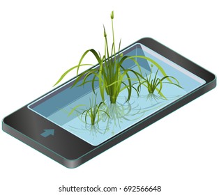 Green reed and water plants in mobile phone. Isometric clump of reed growing in pool, lake or pond. Isolated individual flower bamboo reed in communication technology, paraphrase. Vector illustration.