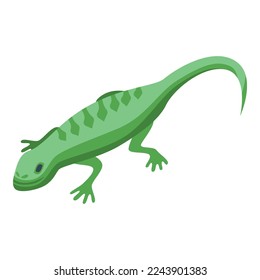 Green reptile icon isometric vector. Lizard frog. Iguana wild