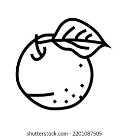 green ripe apple fruit line icon vector. green ripe apple fruit sign. isolated contour symbol black illustration