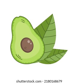 Grüne reife Avocado-Früchte mit Blättern. Halbiert mit Zellstoff. Gesunde Ernährung. Kulinarische Zutaten. Essen kochen. Flache Vektorgrafik einzeln auf weißem Hintergrund