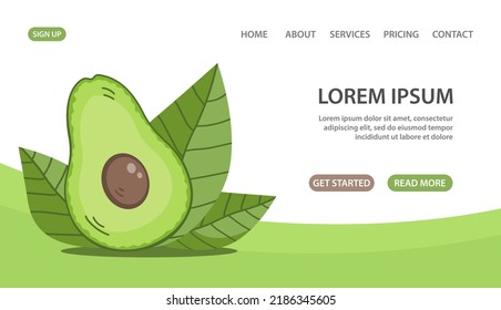 Green ripe avocado fruit with leaf. Sliced half with pulp. Healthy diet food. Culinary ingredient. Cooking food. Design for banner, website, poster. Vector illustration isolated on white background