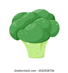 Green ripe broccoli on a white background. A vegetable.