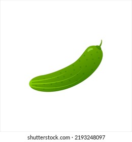 ilustración vectorial de pepino maduro verde sobre un fondo aislado blanco. pepino granulado, cosecha de verduras frescas
