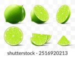 Green ripe lime set. Whole, half and slice citrus fruit isolated on transparent background. Tropical plant, exude freshness, promising a tangy flavor in every piece. Realistic 3d vector illustration.