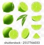 Green ripe lime set. Whole, half and slices citrus fruit isolated on transparent background. Tropical plant, exude freshness, promising a tangy flavor in every piece. Realistic 3d vector illustration.