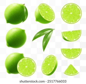 Conjunto de cal verde madura. Frutas enteras, medias rodajas y cítricos aislados sobre fondo transparente. Planta tropical, exuda frescura, prometiendo un sabor picante en cada pieza. Ilustración vectorial 3D realista.