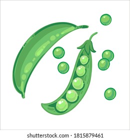 Green ripe pod of peas and peas hand drawn vector illustration isolated on white background. Fresh cartoon vegetable. Seasonal vegetables.