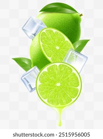 Green ripe raw lime and ice cubes with leaves in swirl motion. Composition of whole fresh lime, half and slices of lime fruits, 3D realistic vector illustration isolated on transparent background.