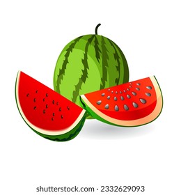 green ripe watermelon fruit illustration good for food and drink
