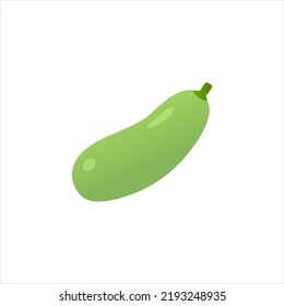 green ripe zucchini vector illustration on a white isolated background. cartoon zucchini, fresh vegetables harvest