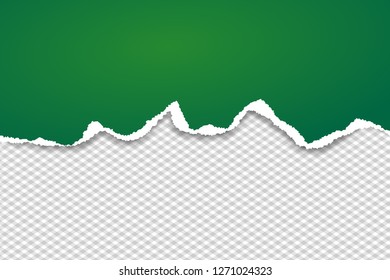 Green ripped horizontal paper strip for text or message are on squared background. Vector illustration