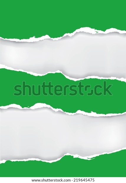 Green ripped paper.\
Vector illustration of green ripped paper with two places for your\
image or text. 