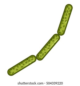 Green rod shaped virus icon. Isometric 3d illustration of rod shaped virus vector icon for web