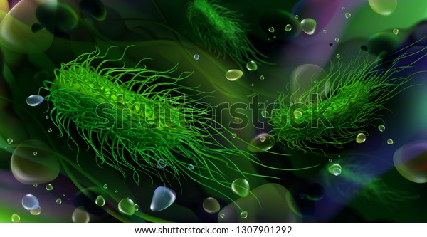 Green
rod-shaped Salmonella bacteria. Vector
illustration