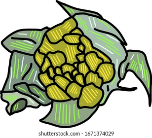 Green romanesco, illustration, vector on white background.