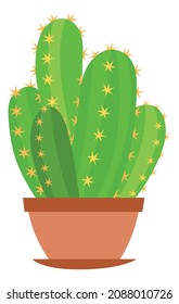 Green room cactus. Cute succulent in clay pot