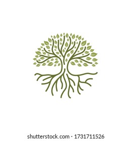Green Root tree logo design vector illustration