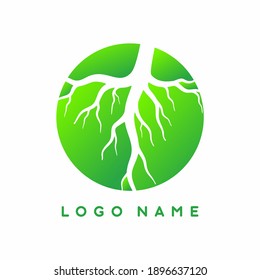 Green root vector logo template for business brand
