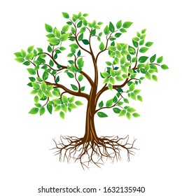 Green rooted tree with white background, vector illustration
